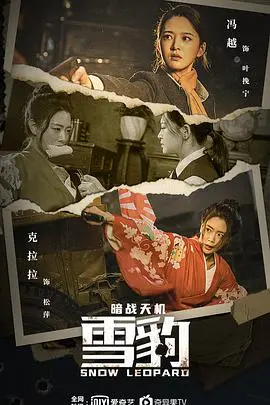 《雪豹之暗战天机》：谍战风云再起，英雄潜伏暗夜，揭秘惊天阴谋！